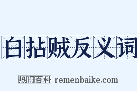 白拈贼反义词是什么意思的图片